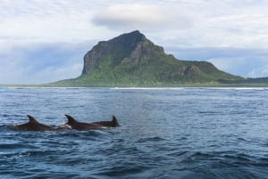 3 päivää: Chamarel, delfiiniretki, viisi saarta, kaupunkikierros