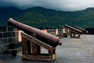 3 päivää: Chamarel, delfiiniretki, viisi saarta, kaupunkikierros