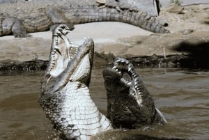 Mauritius: 3 Days Private Authentic Tour with hidden gems