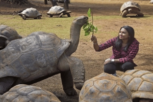 Mauritius: 3 Days Private Authentic Tour with hidden gems