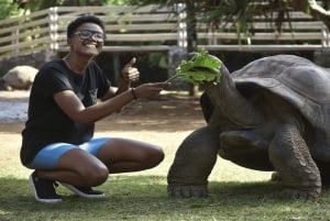 Mauritius: 3 Days Private Authentic Tour with hidden gems