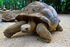 Mauritius: 3 Days Private Authentic Tour with hidden gems