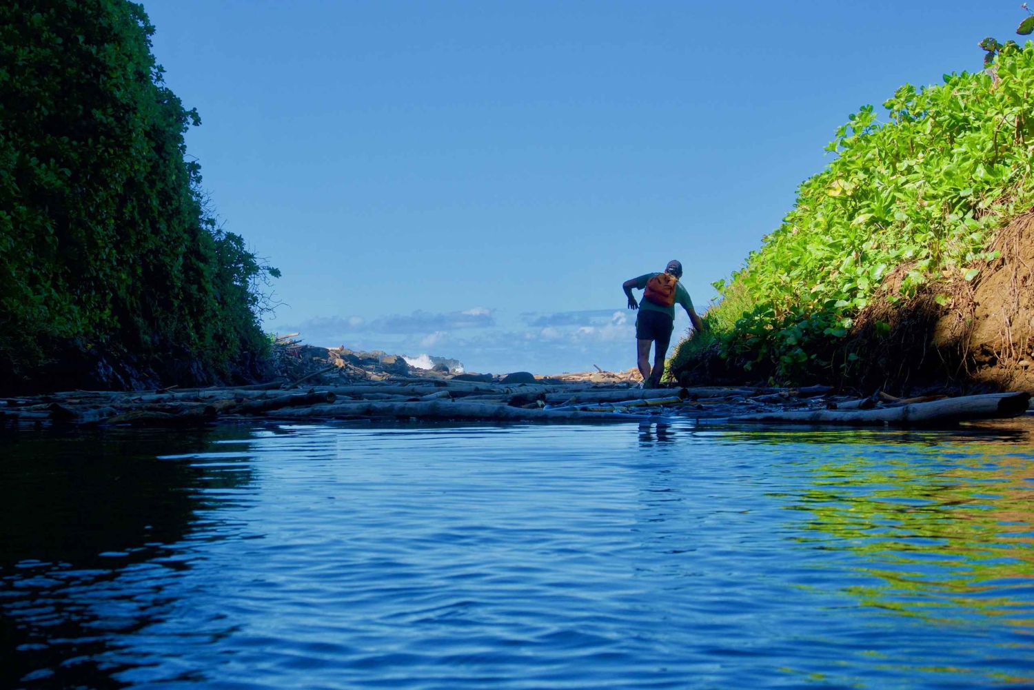 Mauritius: Escursione di 3 ore nel selvaggio Sud