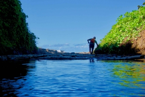 Mauritius: 3-Hour Hiking the Wild South Excursion