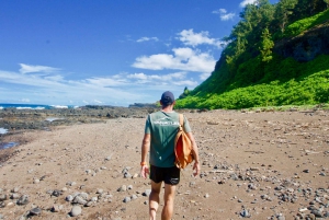 Mauritius: 3-Hour Hiking the Wild South Excursion