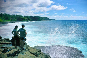 Mauritius: 3-Hour Hiking the Wild South Excursion