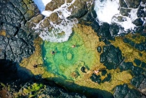 Mauritius: Escursione di 3 ore nel selvaggio Sud