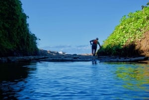 Mauritius: Escursione di 3 ore nel selvaggio Sud