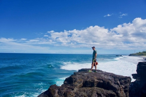 Mauritius: Escursione di 3 ore nel selvaggio Sud