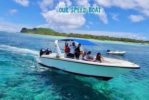 Mauritius: Privat speedbådstur til 3 nordlige øer + grill