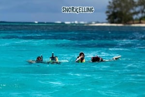 Mauritius: Privat speedbådstur til 3 nordlige øer + grill