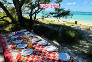 Mauritius: Privat speedbådstur til 3 nordlige øer + grill