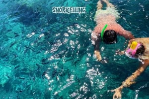 Mauritius: Privat speedbådstur til 3 nordlige øer + grill