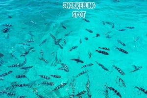 Maurícias: Passeio de lancha pelas 3 Ilhas do Norte com churrasco