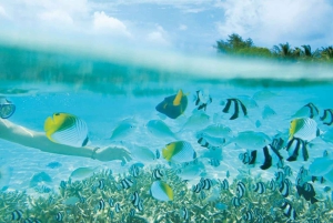 Mauritius 5 matkapäivää – tutustu pohjoiseen, etelään ja saariin