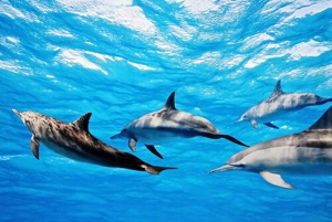 Mauritius 5 matkapäivää – tutustu pohjoiseen, etelään ja saariin