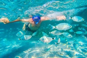 Mauritius: Tour delle 5 isole della costa orientale con snorkeling e pranzo