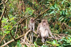 Mauritius 5 Islands Hopping Tours - PRYWATNA ŁÓDŹ