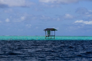 Mauritius 5 Islands Hopping Tours - PRYWATNA ŁÓDŹ