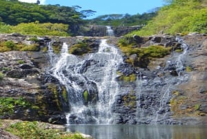 Mauritius: 7 Waterfalls Hike with Lunch and Hotel Transfers