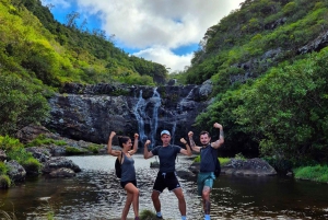Mauritius-7 Wasserfälle kurze Schleife