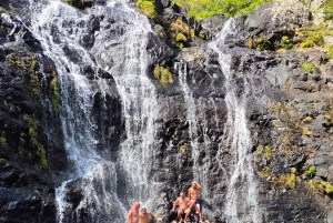 Mauritius-7 Wasserfälle kurze Schleife