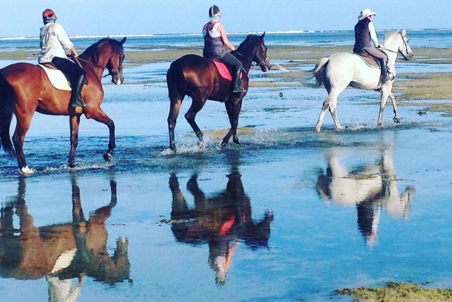 Mauritius: Beach Horseback Ride and Southwest Tour