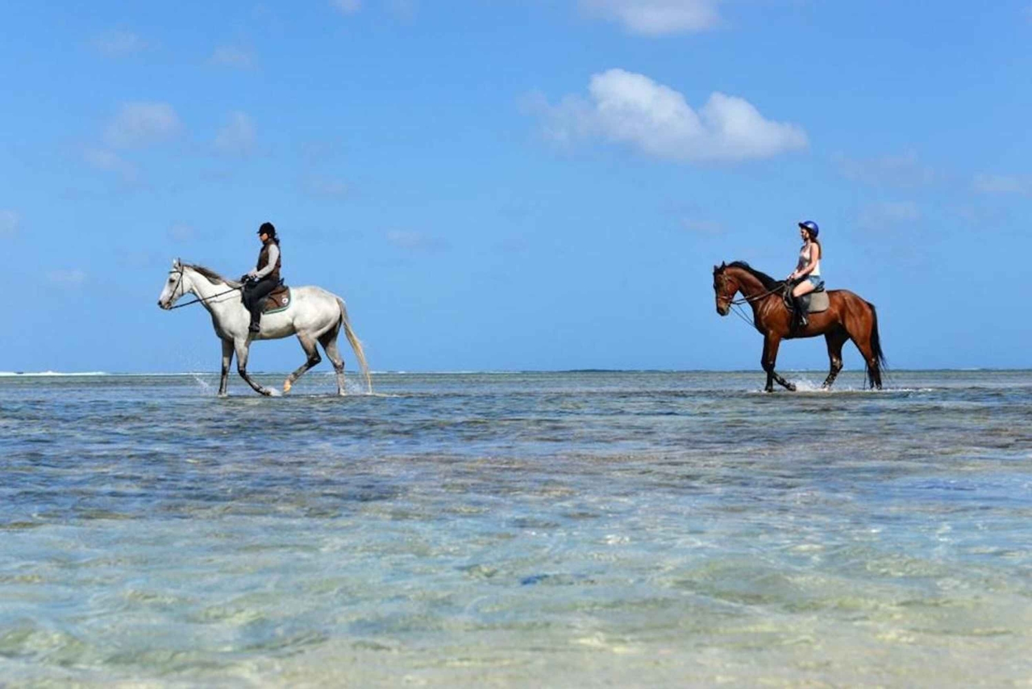Mauritius: Beach Horseback Ride and Southwest Tour