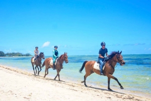 Mauritius: Beach Horseback Ride and Southwest Tour