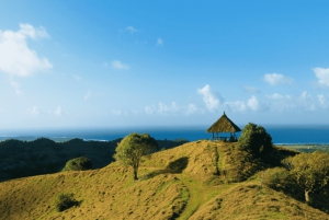 Mauritius: Bel Ombre Nature Reserve 4x4 Safari Adventure