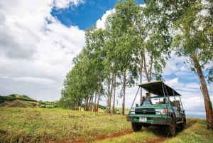 Mauritius: Bel Ombre Nature Reserve 4x4 Safari Adventure