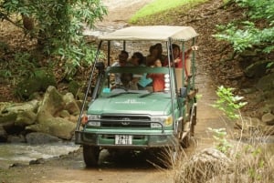 Mauritius: Bel Ombre Nature Reserve 4x4 Safari Adventure