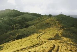 Mauritius: Bel Ombre Nature Reserve Buggy Tour