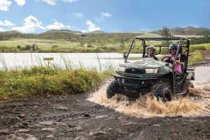 Mauritius: Bel Ombre Nature Reserve Buggy Tour