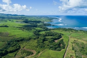 Mauritius: Bel Ombre Nature Reserve Quad Bike Tour