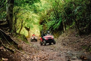 Mauritius: Bel Ombre Nature Reserve Quad Bike Tour