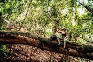 Mauritius: Bel Ombre Nature Reserve Wilderness Package