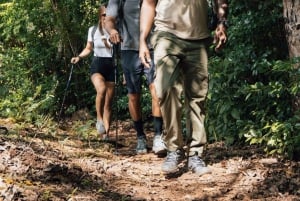 Mauritius: Bel Ombre Nature Reserve Wilderness Package