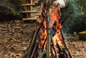 Mauritius: Bel Ombre Nature Reserve Wilderness Package