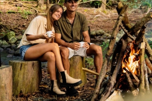 Mauritius: Bel Ombre Nature Reserve Wilderness Package