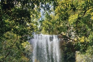 Mauritius: Bel Ombre Nature Reserve Wilderness Package