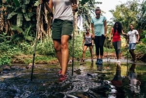 Mauricio: Paquete «Wilderness» en la reserva natural de Bel Ombre.