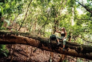 Mauricio: Paquete «Wilderness» en la reserva natural de Bel Ombre.