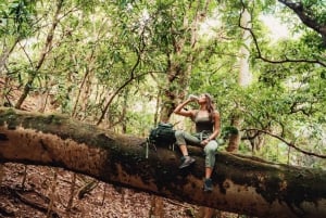 Mauritius: Bel Ombre Nature - Two Waterfalls Walking Trail