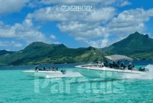 Mauritius: Benitier Island – Schwimmen mit Delfinen – Schnellboot & BBQ