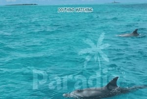 Mauritius: Benitier Island – Schwimmen mit Delfinen – Schnellboot & BBQ