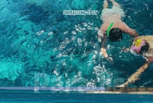 Mauritius: Benitier Island – Schwimmen mit Delfinen – Schnellboot & BBQ