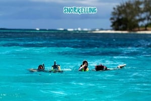 Mauritius: Benitier Island – Schwimmen mit Delfinen – Schnellboot & BBQ