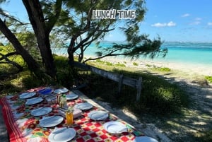 Mauritius: Benitier Island – Schwimmen mit Delfinen – Schnellboot & BBQ