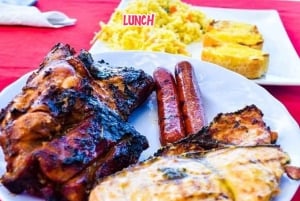 Mauritius: Benitier Island – Schwimmen mit Delfinen – Schnellboot & BBQ